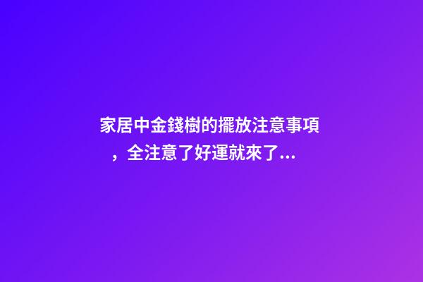 家居中金錢樹的擺放注意事項，全注意了好運就來了！